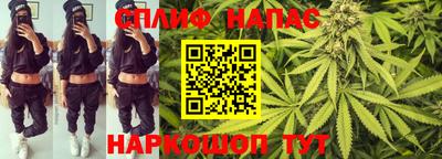 спиды Кинель