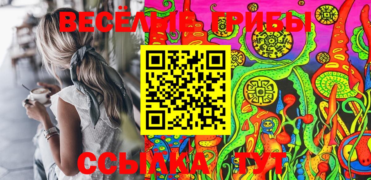 Псилоцибиновые грибы Cubensis Кудымкар