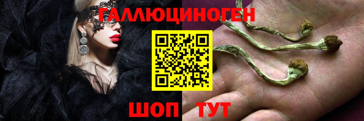 Галлюциногенные грибы Magic Shrooms  Вход с VPN  Кудымкар  Псилоцибиновые грибы ЛСД 
